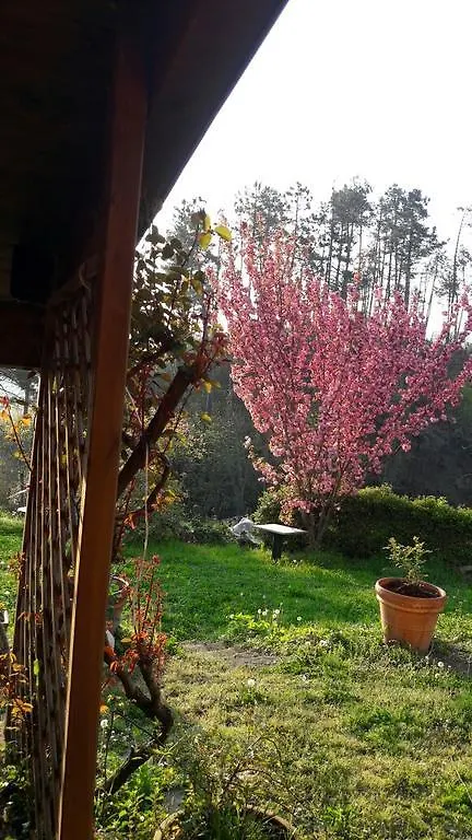 L'Erba Persa Hotel Beverino Farm stay